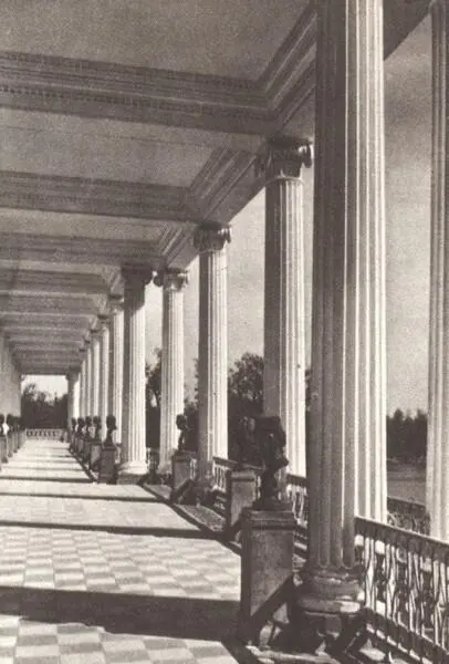 На Камероновой галерее Фотография Большой дворец Эрмитаж Камеронова - фото 37