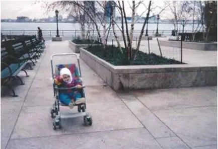 Battery Park City НьюЙорк Эвакуация в Комарово Брат с женой на капоте - фото 9