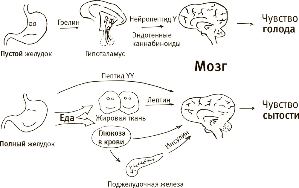 Если порыться в этой куче молекул можно обнаружить несколько интересных - фото 8