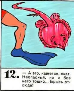 А это кажется скат Неопасный но и без него тошно Брысь отсюда 13 - фото 119