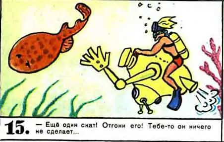 Еще один скат Отгони его Тебето он ничего не сделает 16 - фото 122