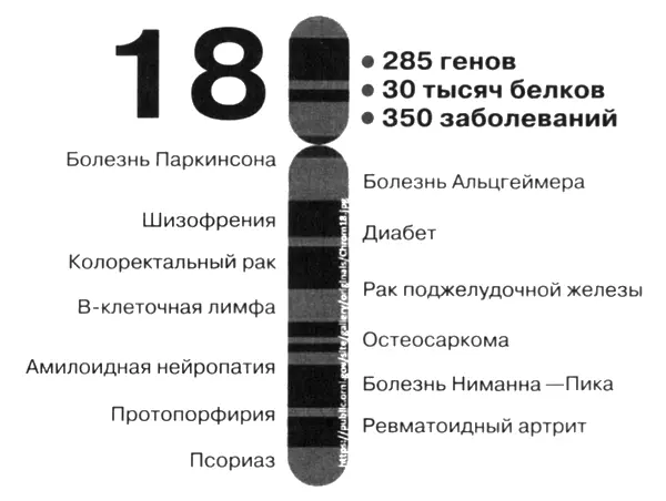 Рис 46 Карта заболеваний связанных с 18й хромосомой человека Так вот - фото 28