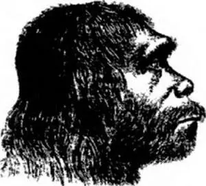 Рис 24 Первая графическая реконструкция головы неандертальца выполненная - фото 9