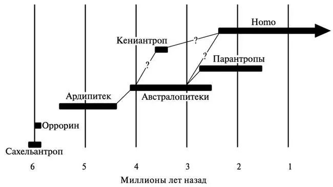 Рис 31 Роды семейства гоминид на хронологической шкале Показаны также их - фото 33