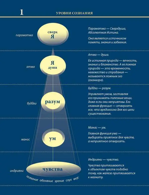 Уровни сознания Структура человеческой личности Размышления - фото 6