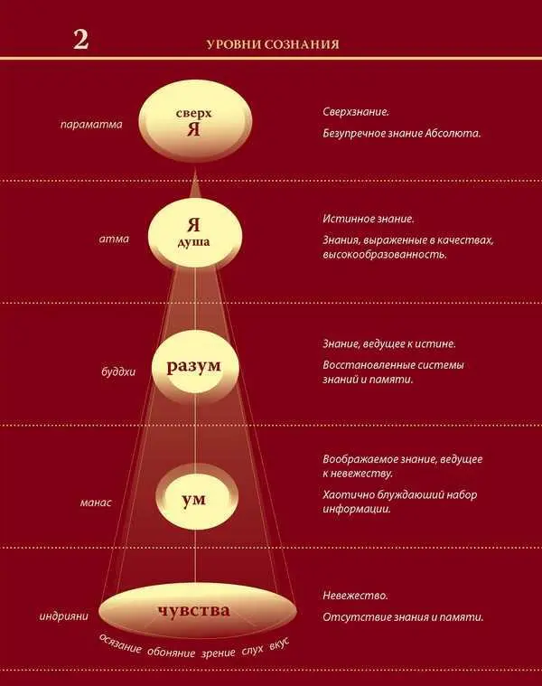 Уровни сознания Структура человеческой личности Размышления - фото 8