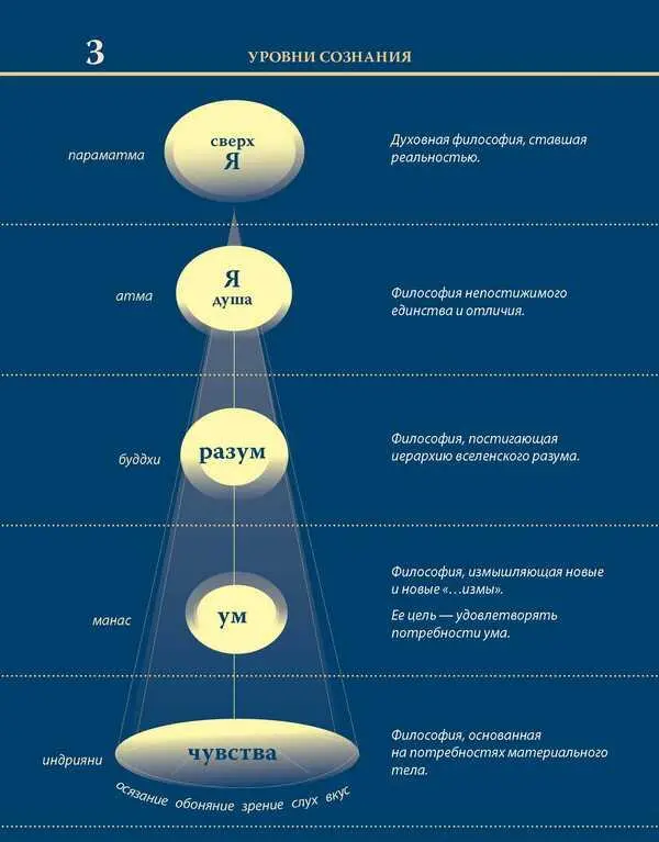 Уровни сознания Структура человеческой личности Размышления - фото 10