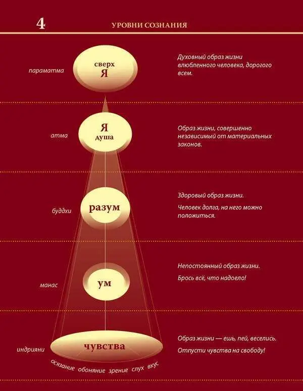 Уровни сознания Структура человеческой личности Размышления - фото 12