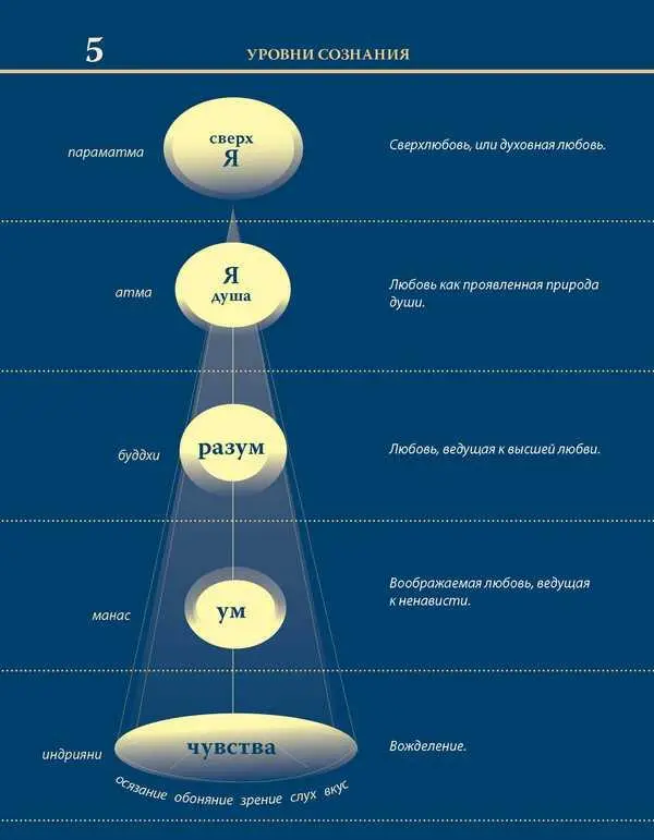 Уровни сознания Структура человеческой личности Размышления - фото 14