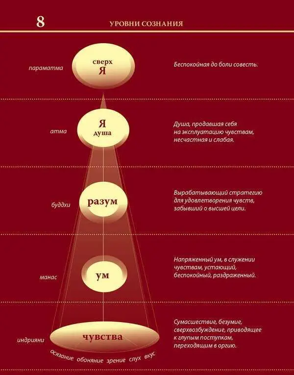 Уровни сознания Структура человеческой личности Размышления - фото 20