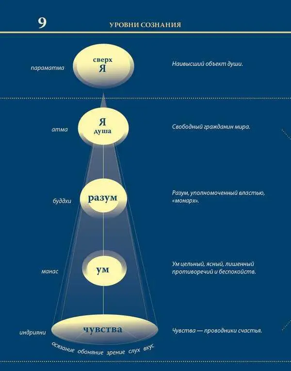 Уровни сознания Структура человеческой личности Размышления - фото 22