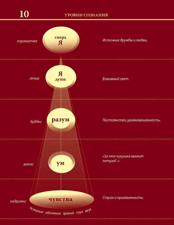 Уровни сознания Структура человеческой личности Размышления - фото 24