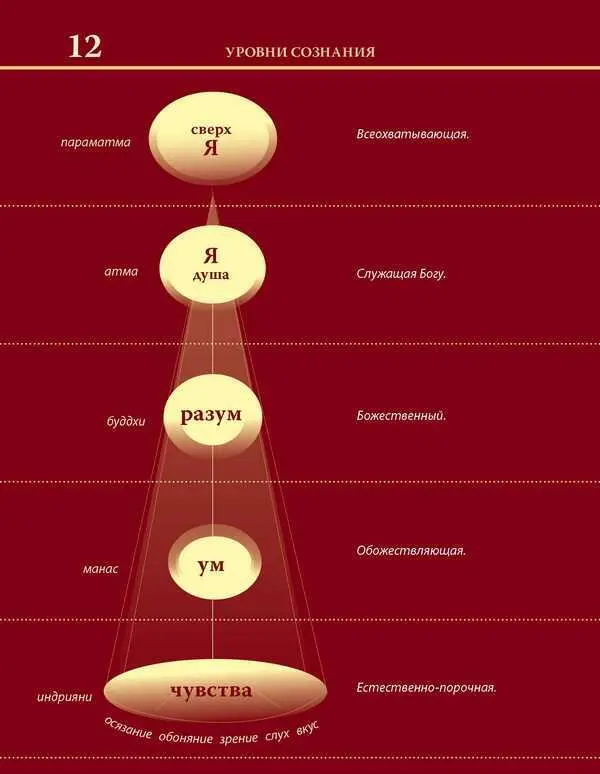 Уровни сознания Структура человеческой личности Размышления - фото 28