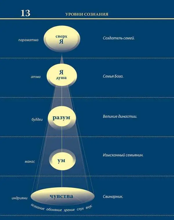 Уровни сознания Структура человеческой личности Размышления - фото 30