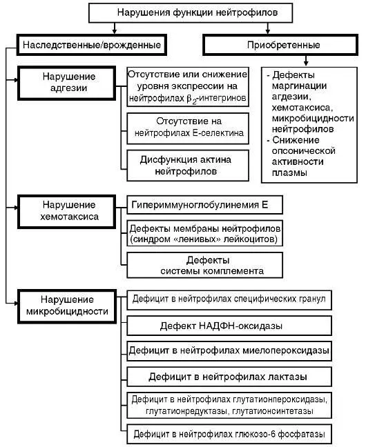 Рис 1411 Патогенетические факторы дисфункции нейтрофилов разом с дефектами - фото 10
