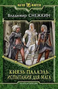 Владимир Снежкин - Князь Палаэль. Испытания для мага