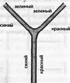 Эти узлы можно перевернуть вниз головой чтобы показать как два глюона могут - фото 142