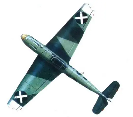 Самолет принадлежал 2J88 на нем летал лейтенант Кайдель и лейтенаш Реш - фото 109