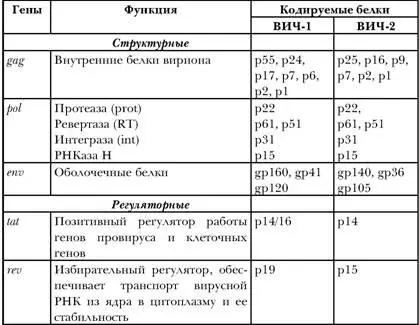 Примечание p от англ protein белок gp от англ glycoprotein - фото 10