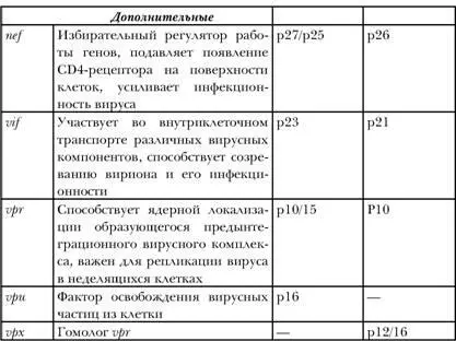 Примечание p от англ protein белок gp от англ glycoprotein - фото 11