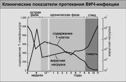 Рис 23 Существует определенная усредненная картина изменений в количестве - фото 37