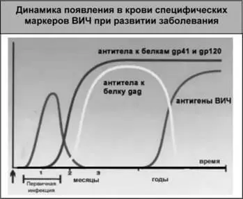 Рис 24 B результате длительных наблюдений установлена усредненная динамика - фото 38
