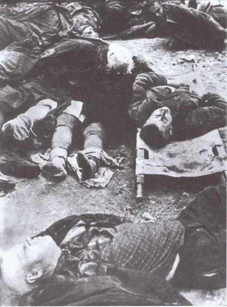 Жертвы террора оккупантов 28 ноября 1941 г Трупы расстрелянных - фото 59