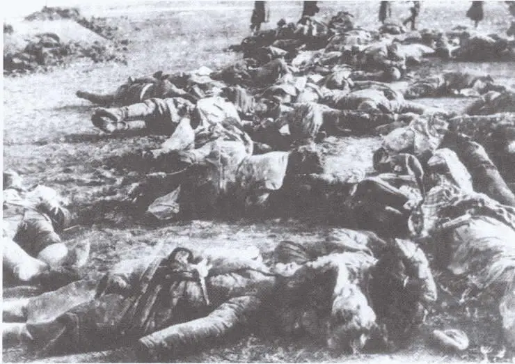 Трупы расстрелянных советских военнопленных 29 ноября 1941 г Убитый - фото 60