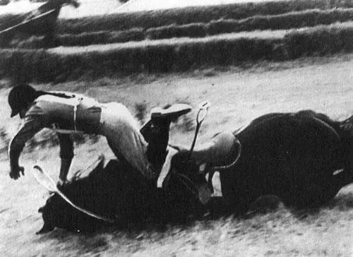 Всякое бывает Король езды Вильям Кейтон 1910е гг Маэстро - фото 25