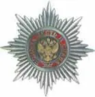 4 Звезда ордена За заслуги перед Отечеством II степени 5 Орден За - фото 318