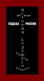 Петр Ерохин - Судьба России. История будущего