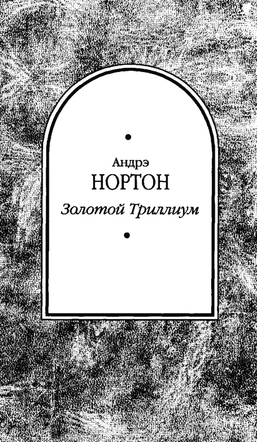 ПРОЛОГ Их было трое дочерей Черного Триллиума Достигнув расцвета своей - фото 3