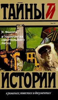 Михаил Михалков - В лабиринтах смертельного риска