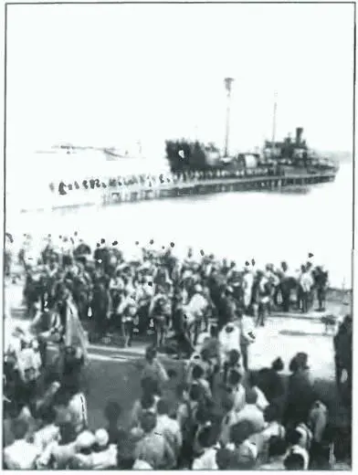 Кавалерийская дивизия грузится на пароход для отправки в Сербию Галлиполи - фото 29