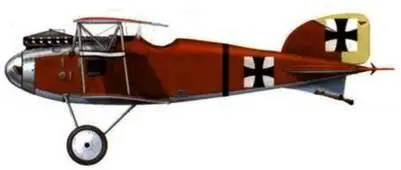 2 Альбатрос D II oбep лейтенанта Стефана на Кирмайера Jasta 2 1916 г 3 - фото 145