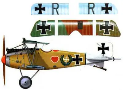 5 Альбатрос D III лейтенанта Вернера Фосса Jasta 2 середина 1917 г 6 - фото 148