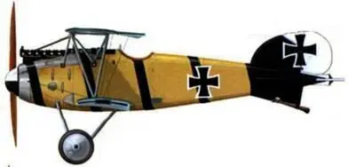 6 Альбатрос D III Курта Вустхоффа Jasta 4 лето 1917 г 7 Альбатрос D - фото 149