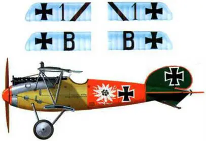 7 Альбатрос D V унтер фельдфебеля Пауля Баумера Jasta 5 лето 1917 г 8 - фото 150