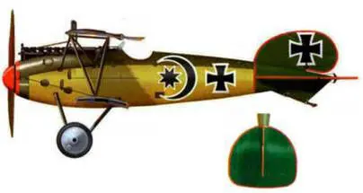 10 Альбатрос D V D 528417 вице фельдфебеля Йщзефа Мая Jasta 5 конец 1917 - фото 153