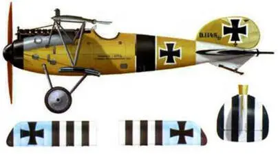 11 Альбатрос D V D 114817 лейтенанта Ганса Адама Jasta 6 лето 1917 г - фото 154