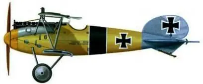 13 Альбатрос D V лейтенанта Алоиза Хельдмана Jasta 10 конец 1917 г 14 - фото 156