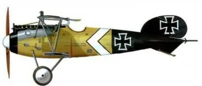 17 Альбатрос D V лейтенанта Ульриха Никиля Jasta 12 1917 г 18 - фото 160