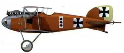 22 Альбатрос D II лейтенанта Людвига Ханштейна Jasta 16b 19161917 23 - фото 165