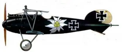24 Альбатрос D III лейтенанта Отто Киссенберта Jasta 16b середина 1917 г - фото 167