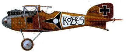 25 Альбатрос D III D 107216 лейтенанта Йозефа Якобса Jasta 22 весна 1917 - фото 168