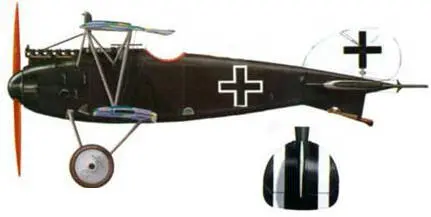 38 Альбатрос D III лейтенанта Франца Рея 1918 г 39 Альбатрос D III - фото 180