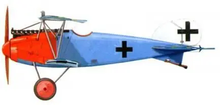 39 Альбатрос D III командира Jasta 57 лейтенанта Пауля Штрахле весна 1918 - фото 181