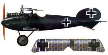 41 Альбатрос D Va Эдуарда Риттера фон Шлейха весна 1918 г 42 - фото 183