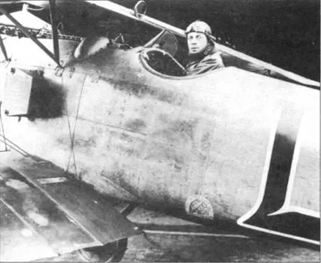 Альбатрос D II лейтенанта Вильгельма Люша из Jasta 19 апрель 1917 г - фото 88