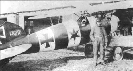 Альбатрос D V D229917 Бруно Лоэрцера снимок конца 1917 г В то время - фото 97